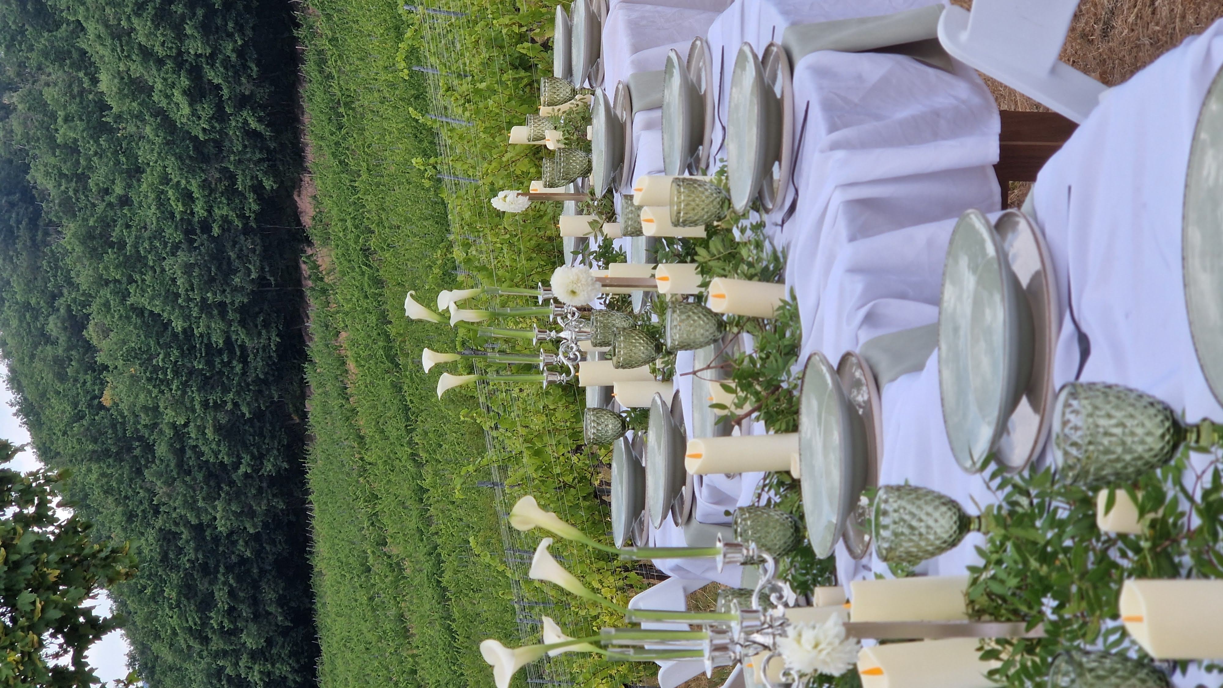 Mariage dans les vignes alsaciennes